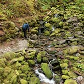 Review photo of Sol Duc Hot Springs Resort Campground — Olympic National Park by Cierra A., September 30, 2016
