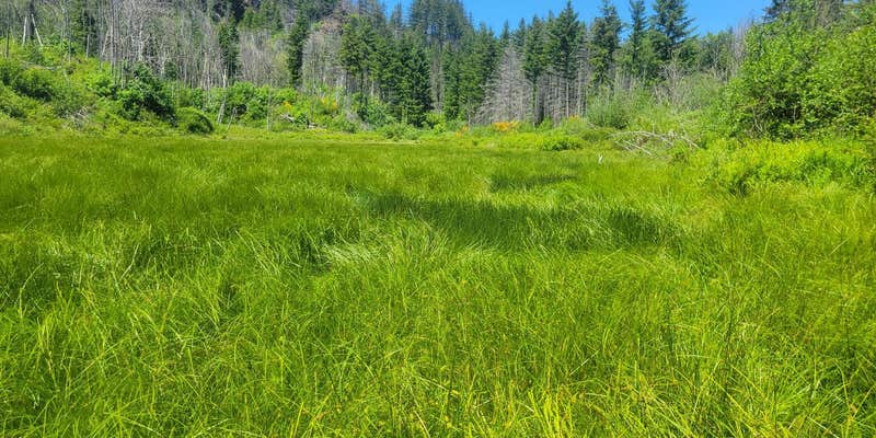 Camper submitted image from Aquila Vista Education Area - TEMPORARILY CLOSED