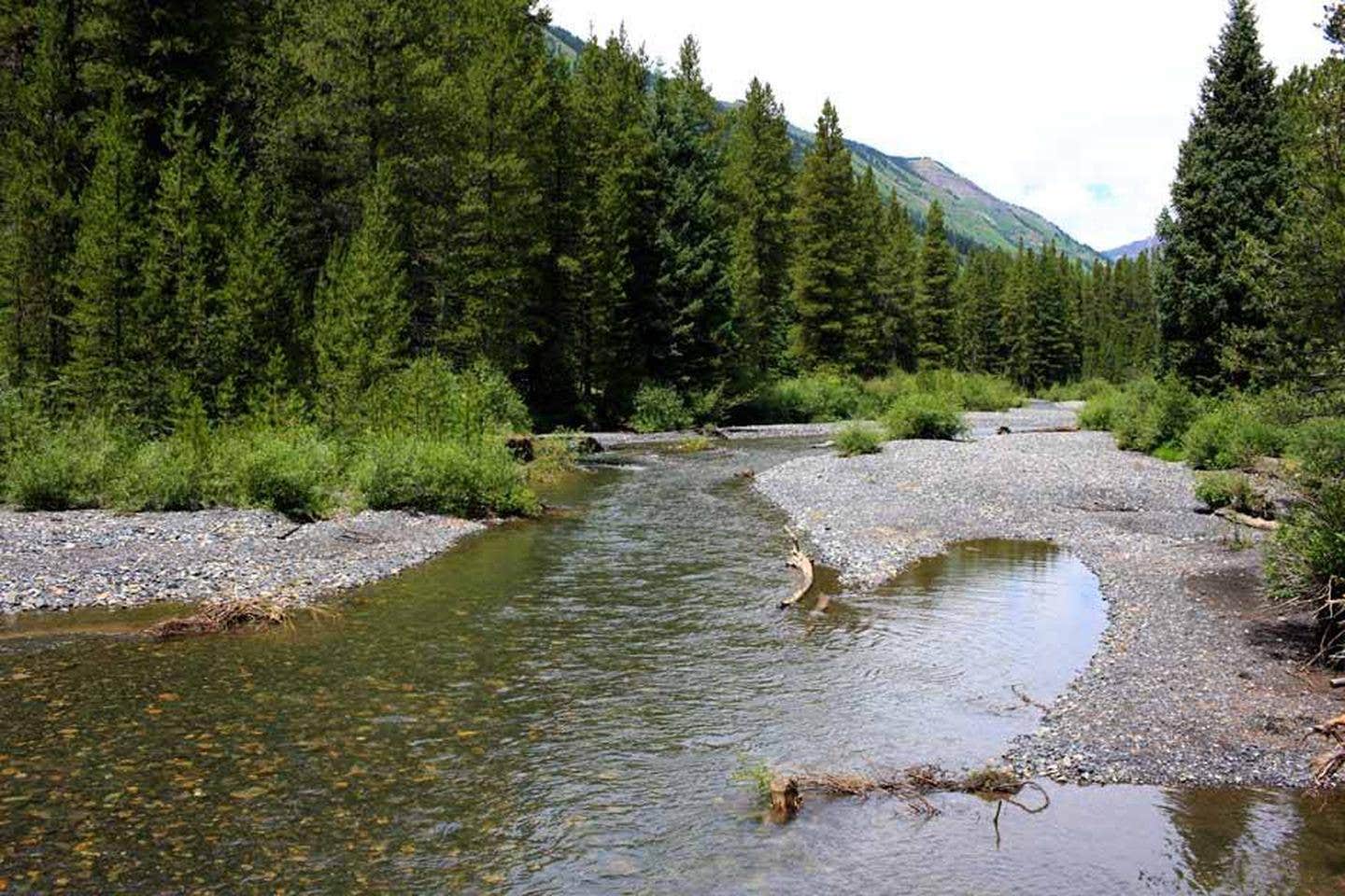 Camper-submitted photo at Oh Be Joyful Campground near Crested Butte, CO