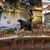 Review photo of Andy Guest/Shenandoah River State Park Campground by Nancy W., June 12, 2026