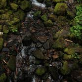 Review photo of Sol Duc Hot Springs Resort Campground — Olympic National Park by Cierra A., September 30, 2016