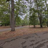 Review photo of Martinak State Park Campground by Nancy W., June 12, 2026