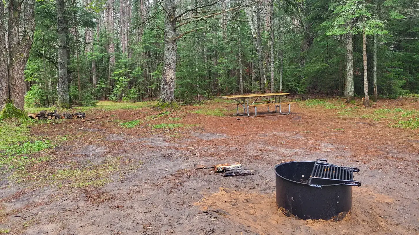Camping near Chicago Lake Campsites — Hiawatha National Forest: Camp Cook Campsite — Hiawatha National Forest, Nahma, Michigan