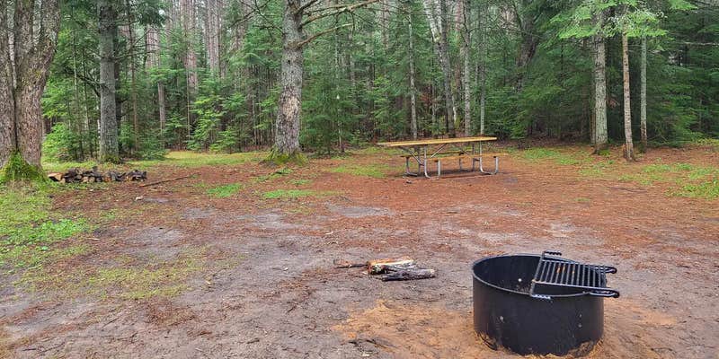 Camper submitted image from Camp Cook Campsite — Hiawatha National Forest