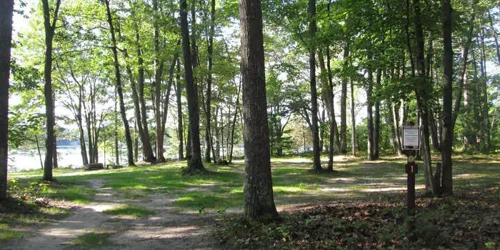 Camper submitted image from Gooseneck Lake Campsites — Hiawatha National Forest