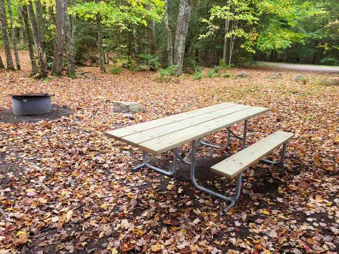 Camping near Gooseneck Lake Campsites — Hiawatha National Forest: Minerva Lake Campsite — Hiawatha National Forest, Manistique, Michigan