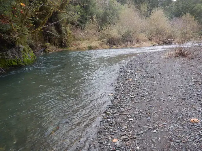 Camping near Paradise Point RV: Edson Creek Campground (Or) — Myrtlewood Field Office, Sixes, Oregon