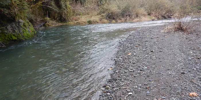 Camper submitted image from Edson Creek Campground (Or) — Myrtlewood Field Office