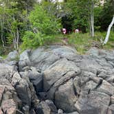 Review photo of Cobscook Bay State Park Campground by meredith A., June 14, 2026