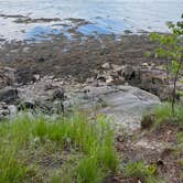 Review photo of Cobscook Bay State Park Campground by meredith A., June 14, 2026