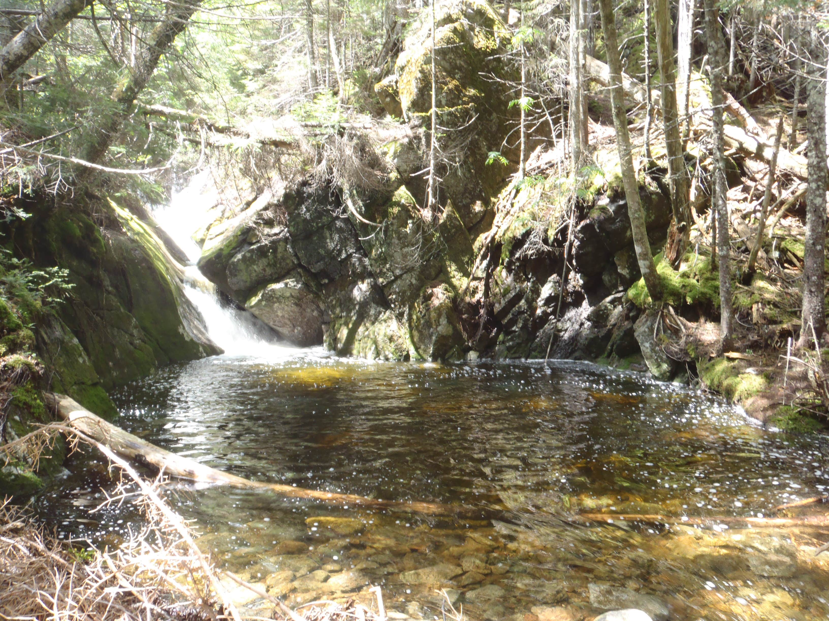 Camper submitted image from Marcy Dam Backcountry Campsites - 4