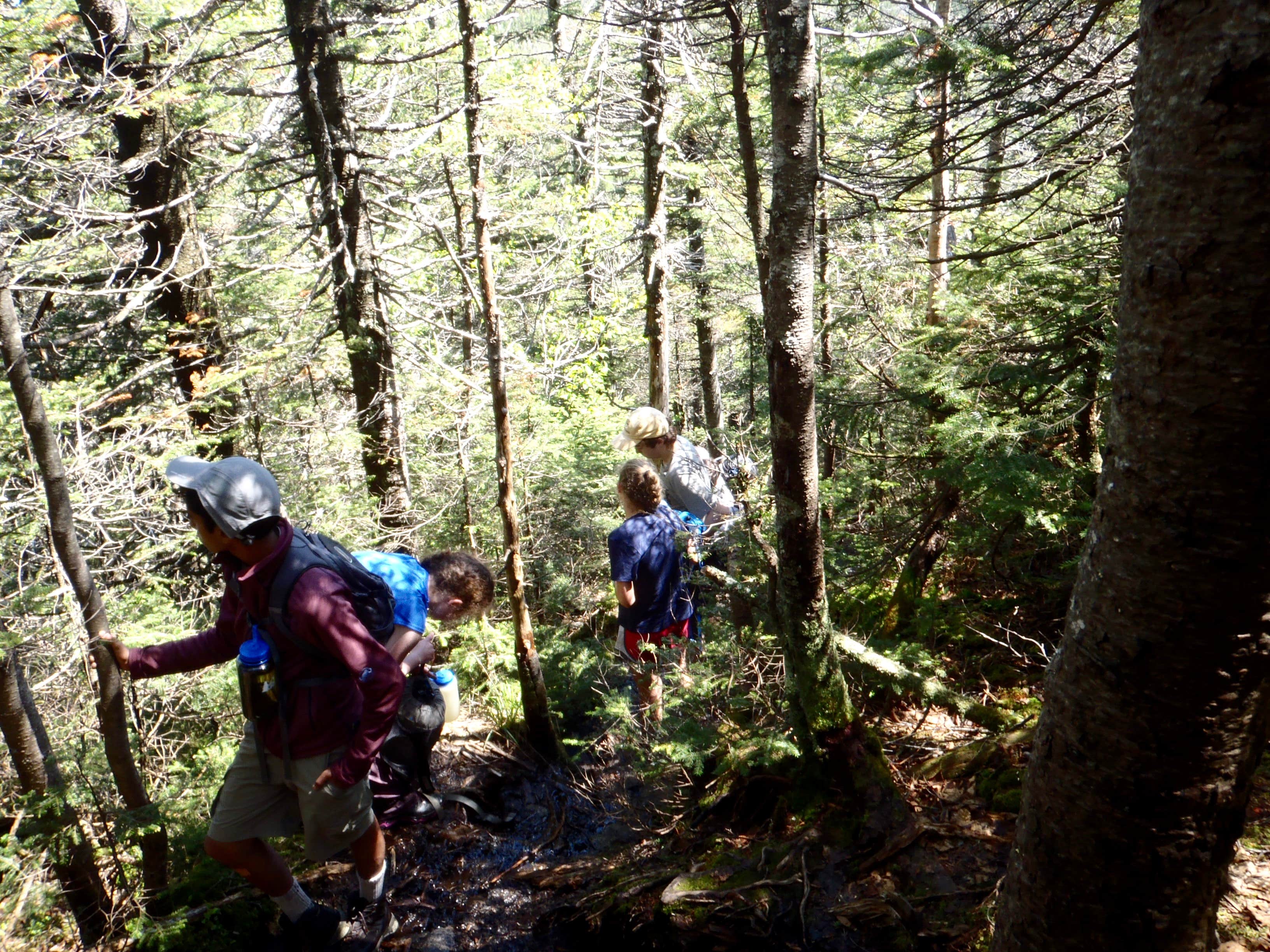 Camper submitted image from Marcy Dam Backcountry Campsites - 3