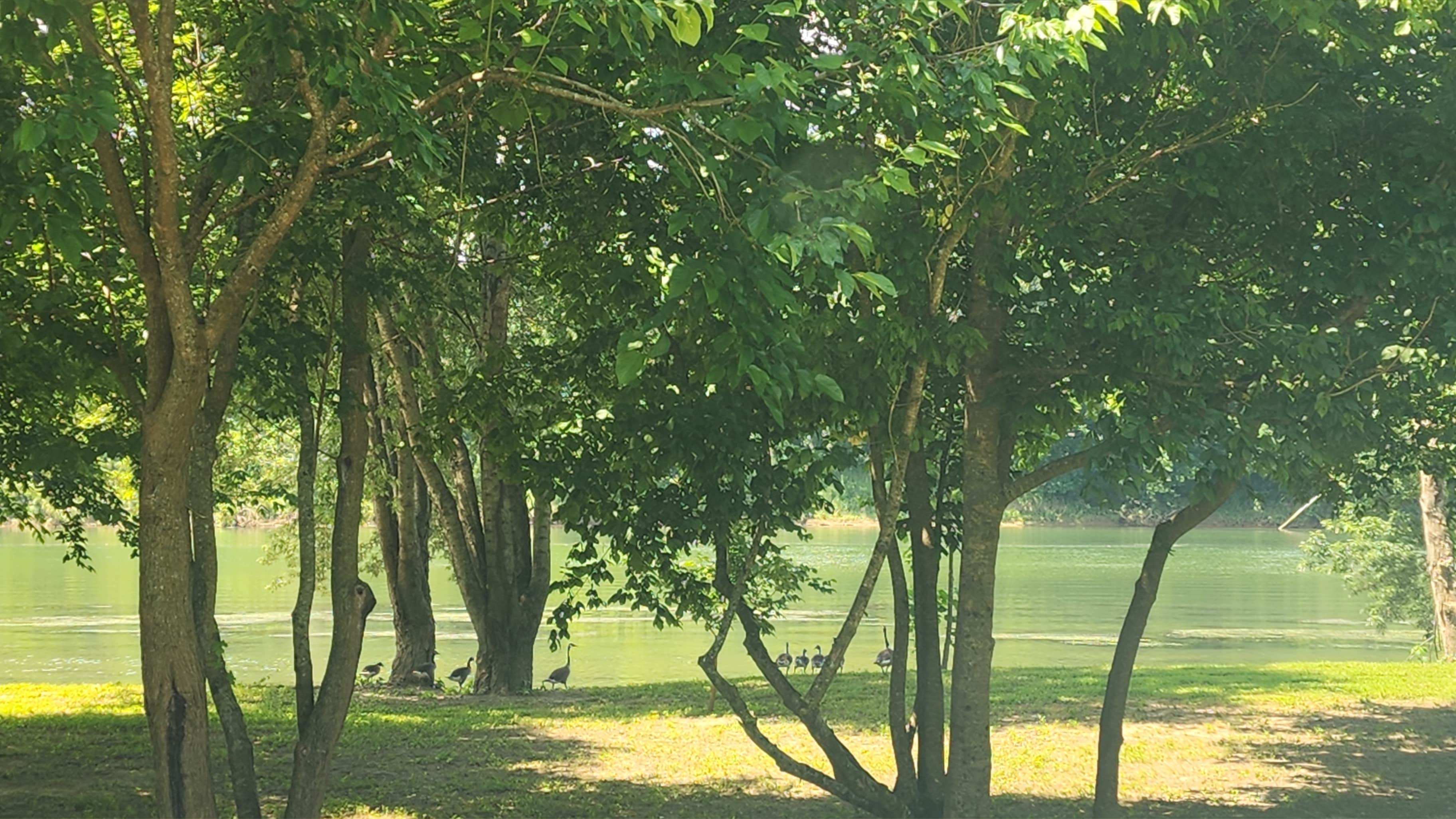 Camping near Speedway RV Park: Camper/RV - 930 White River Run, Mountain View, Arkansas