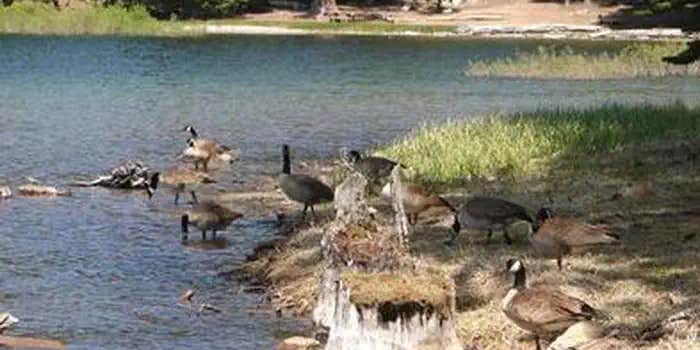 Camper submitted image from Manzanita Lake Group Campground — Lassen Volcanic National Park