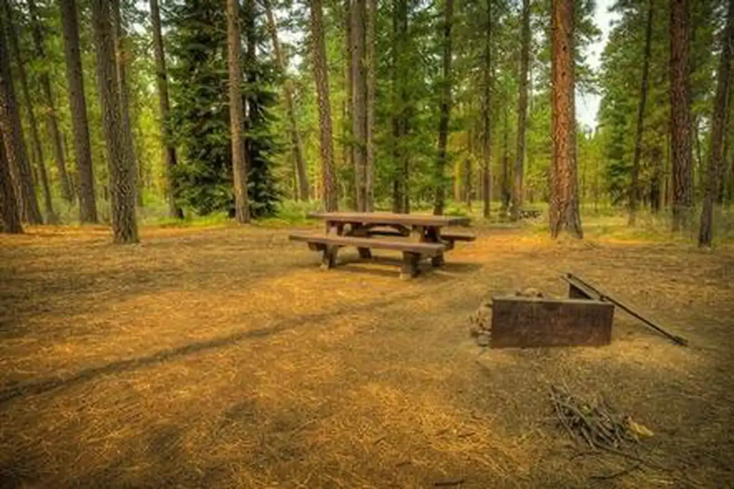 Camping near South Shore Suttle Lake: Riverside Campground (Deschutes National Forest, Or) — Deschutes National Forest, Camp Sherman, Oregon