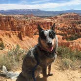 Review photo of North Campground — Bryce Canyon National Park by Molly G., September 30, 2016