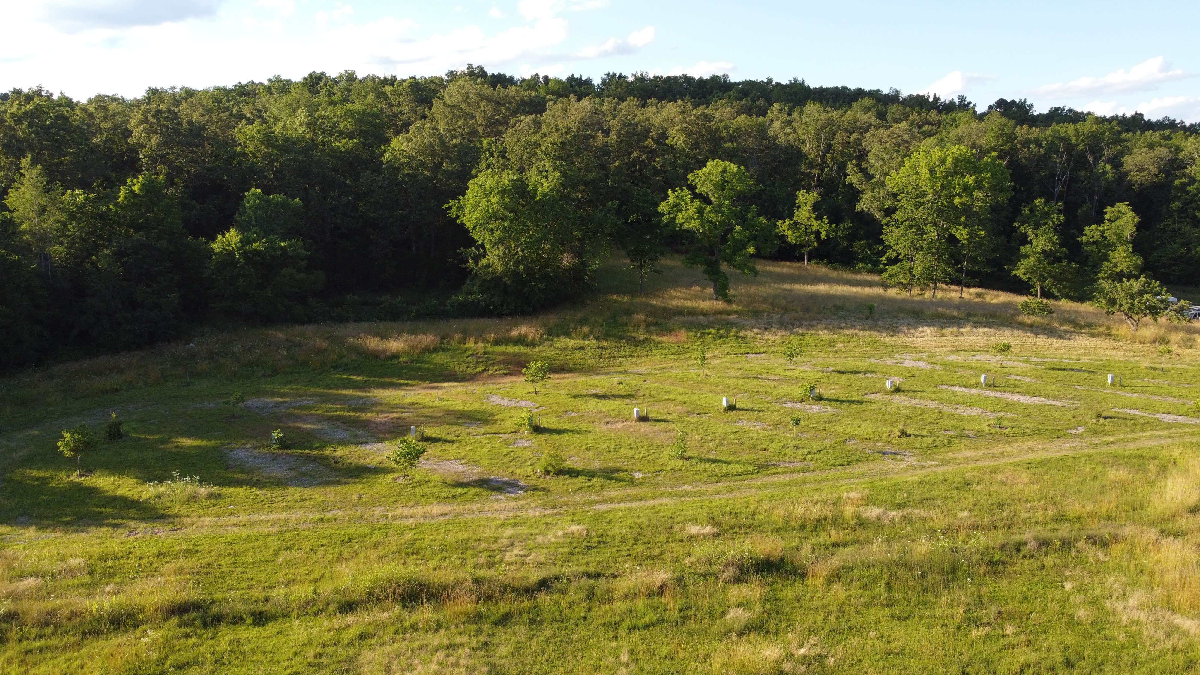 Camping near Markham Springs: The Campground at The Hedges, Greenville, Missouri