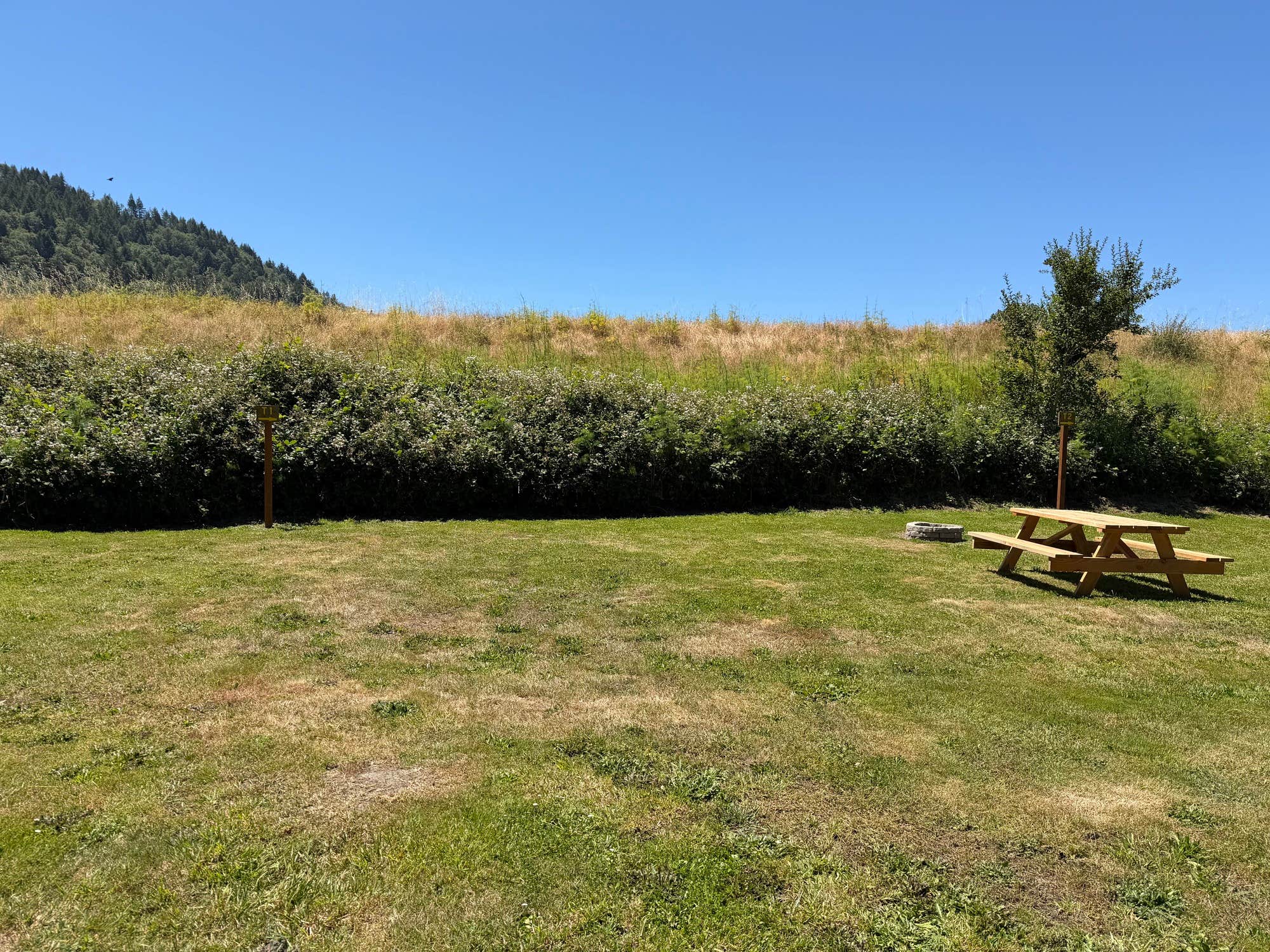 Camper-submitted photo at Terwer RV Park near Redwood National Park