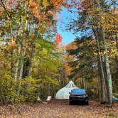 Review photo of Wildwood Haven Resort and Campground by Gerard E., June 17, 2026