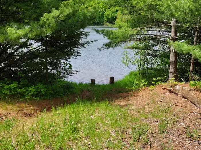 Camper-submitted photo at Lake Nineteen Campsite — Hiawatha National Forest near Manistique, MI