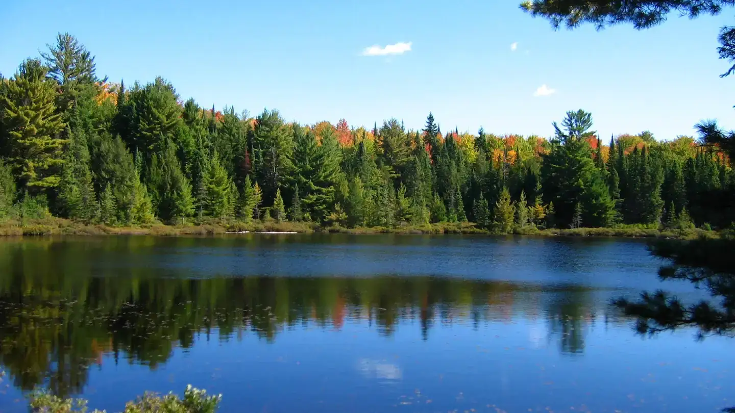 Camper-submitted photo at Lake Nineteen Campsite — Hiawatha National Forest near Manistique, MI