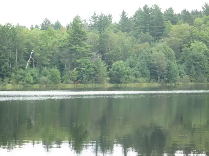 Camper-submitted photo at Lake Nineteen Campsite — Hiawatha National Forest near Manistique, MI