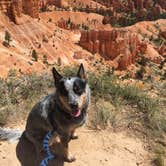 Review photo of North Campground — Bryce Canyon National Park by Molly G., September 30, 2016