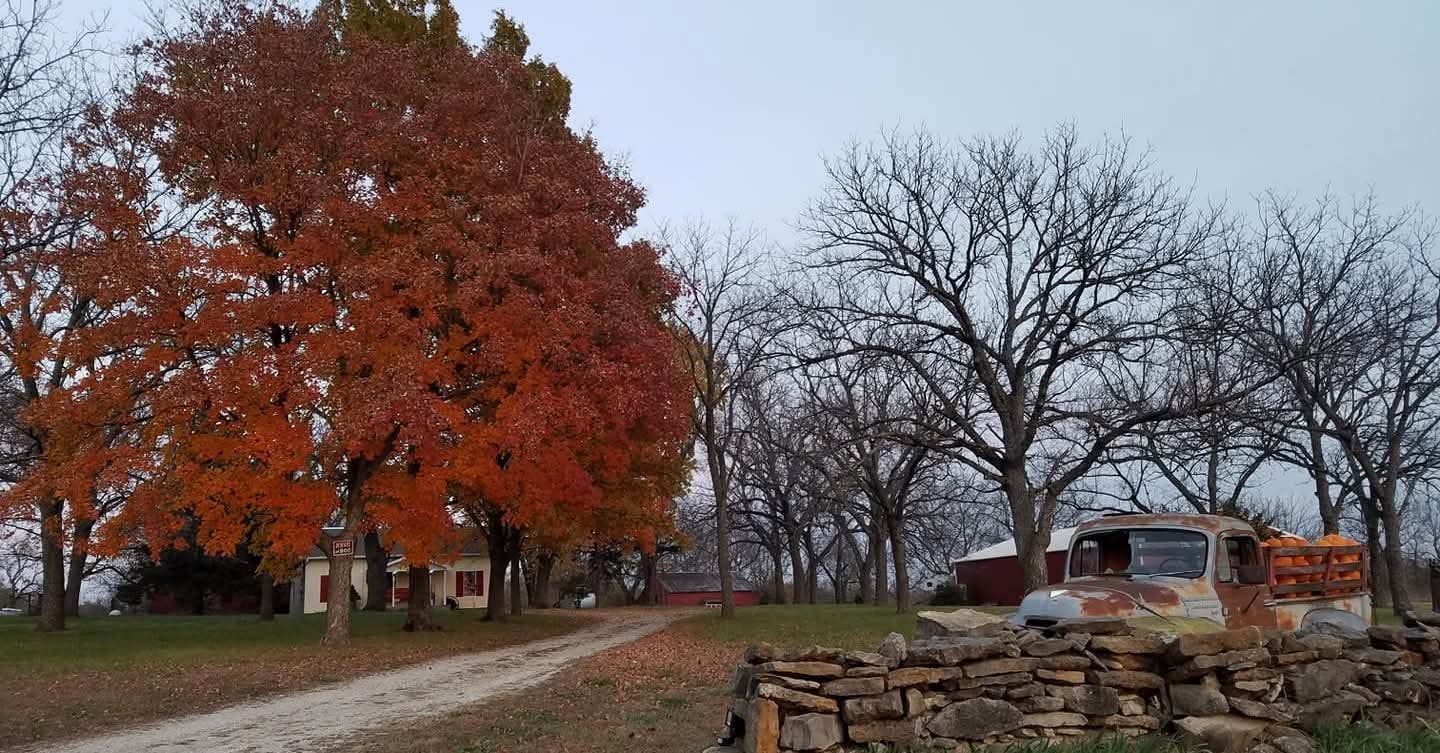 Camping near i49 Rv Park - Missouri: Rock Wall Ranch LLC, Louisburg, Missouri