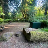 Review photo of Mill Creek Campground — Del Norte Coast Redwoods State Park by Stephanie C., June 18, 2026
