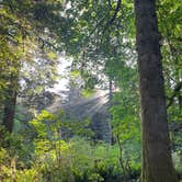 Review photo of Mill Creek Campground — Del Norte Coast Redwoods State Park by Stephanie C., June 18, 2026