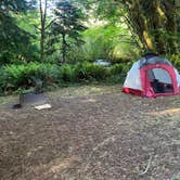 Review photo of Mill Creek Campground — Del Norte Coast Redwoods State Park by Stephanie C., June 18, 2026
