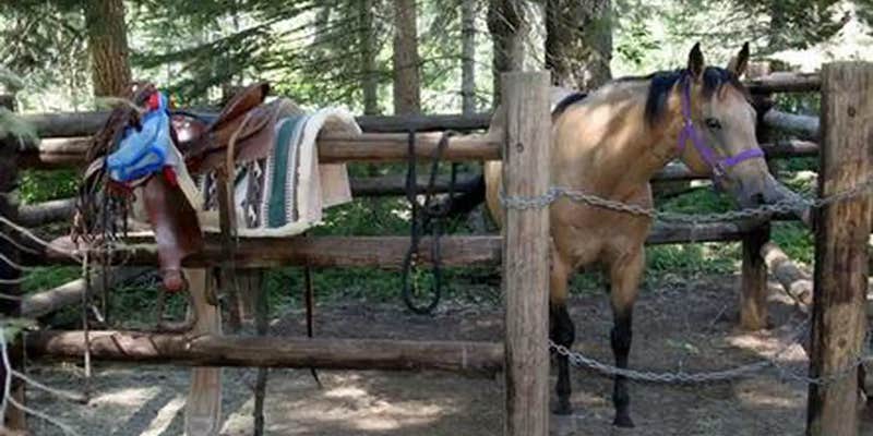 Camper submitted image from Willow Prairie Horsecamp — Rogue River Siskiyou National Forest