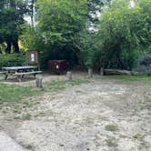 Review photo of Van Damme State Park Campground by Stephanie C., June 18, 2026