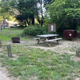 Review photo of Van Damme State Park Campground by Stephanie C., June 18, 2026