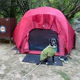 Review photo of Van Damme State Park Campground by Stephanie C., June 18, 2026