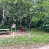 Review photo of Van Damme State Park Campground by Stephanie C., June 18, 2026