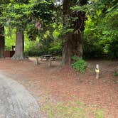 Review photo of Van Damme State Park Campground by Stephanie C., June 18, 2026