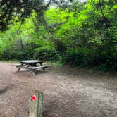 Review photo of Van Damme State Park Campground by Stephanie C., June 18, 2026