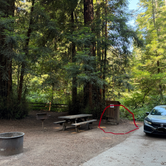 Review photo of Samuel P. Taylor State Park Campground by Stephanie C., June 18, 2026