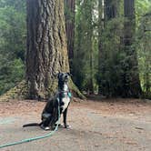 Review photo of Samuel P. Taylor State Park Campground by Stephanie C., June 18, 2026