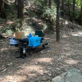 Review photo of Pfeiffer Big Sur State Park Campground by Stephanie C., June 18, 2026