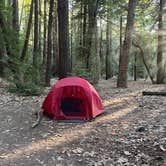 Review photo of Pfeiffer Big Sur State Park Campground by Stephanie C., June 18, 2026