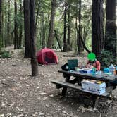 Review photo of Pfeiffer Big Sur State Park Campground by Stephanie C., June 18, 2026