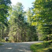 Review photo of Aroostook State Park Campground by Nancy W., June 18, 2026