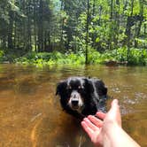 Review photo of McCaslin Brook Dispersed site by Maxine S., June 18, 2026