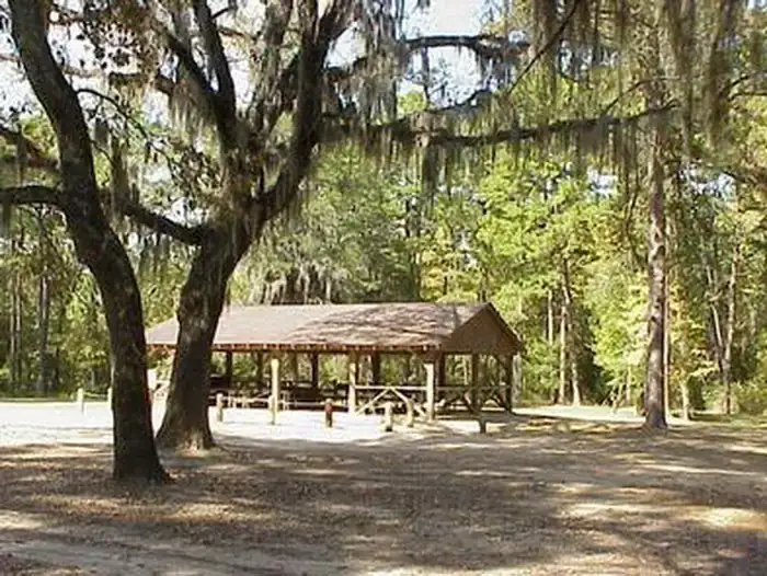 Camper-submitted photo at Boles Field Campground — National Forests And Grasslands In Texas near Zwolle, LA