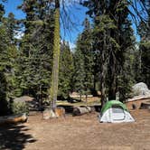 Review photo of Azalea Campground — Kings Canyon National Park by Christian R., June 19, 2026