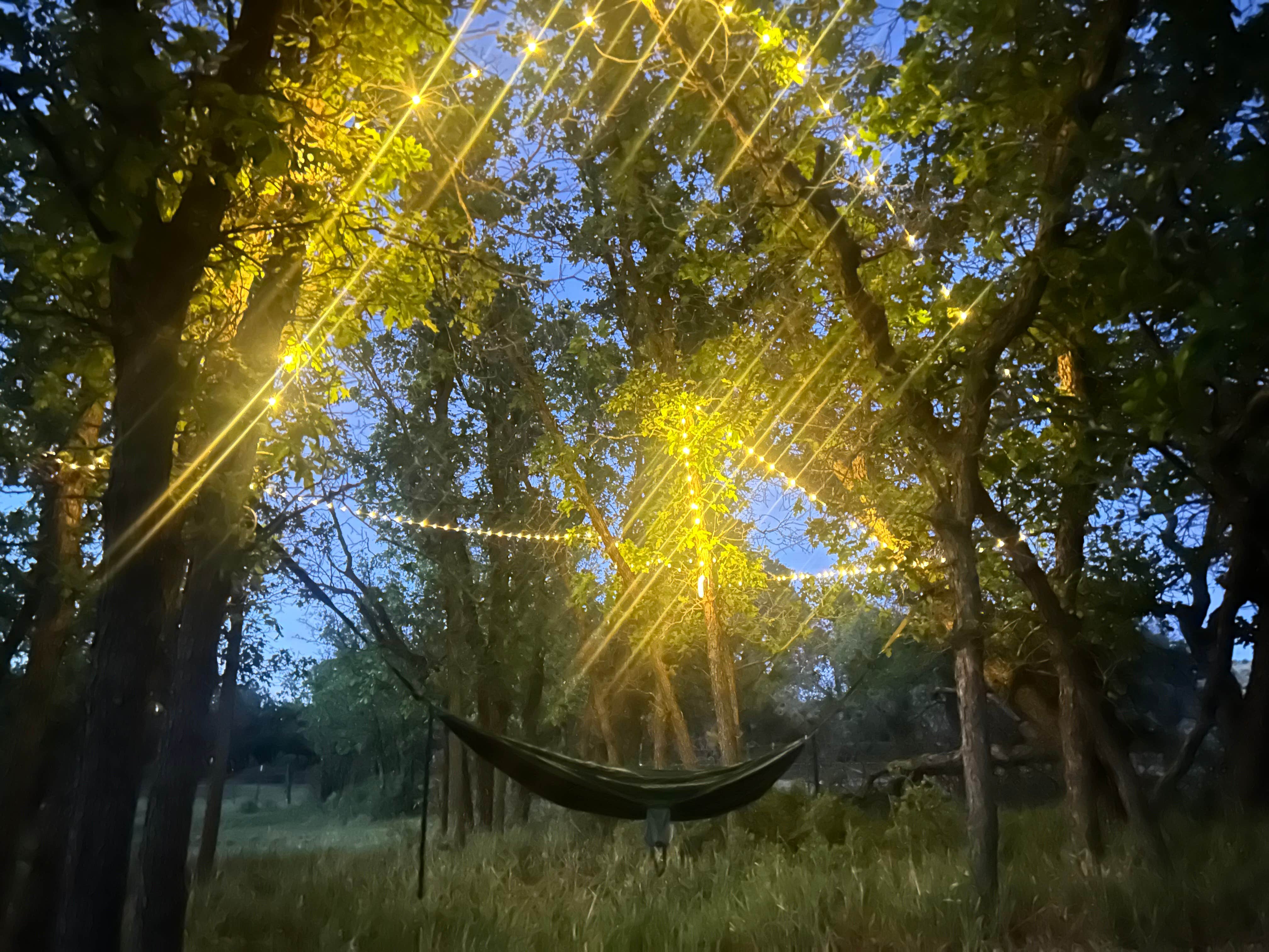 Camping near Sky Ute Casino Resort: Ribbit Retreat, Durango, Colorado