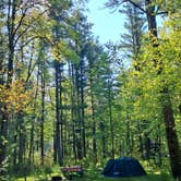 Review photo of Pigeon Creek Campground — Black River State Forest by Athan D., June 19, 2026