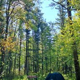 Review photo of Pigeon Creek Campground — Black River State Forest by Athan D., June 19, 2026